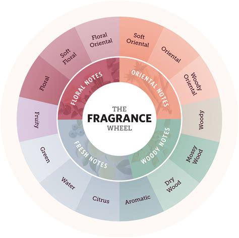 Your 5 Essential Fragrances : r/fragrance 